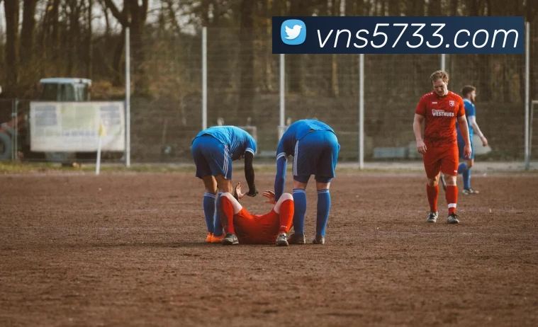 威尼斯人在线网站APP 封面图